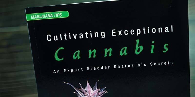 Cultivating Exceptional Cannabis