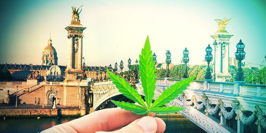 DIE AUSWAHL DER RICHTIGEN CANNABISSORTE