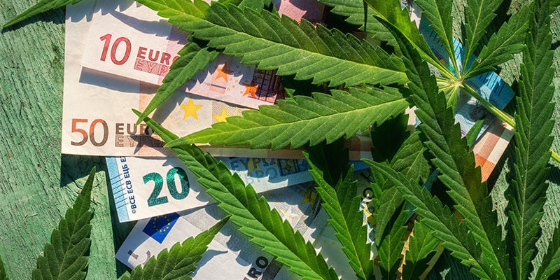 Mit CBD-Blüten Wirst Du Dir Geld Sparen