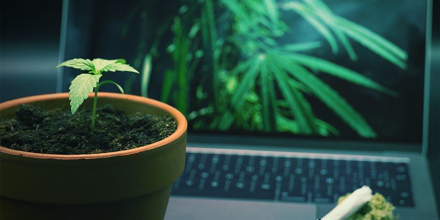 Was sind die besten Websites für Stoner?