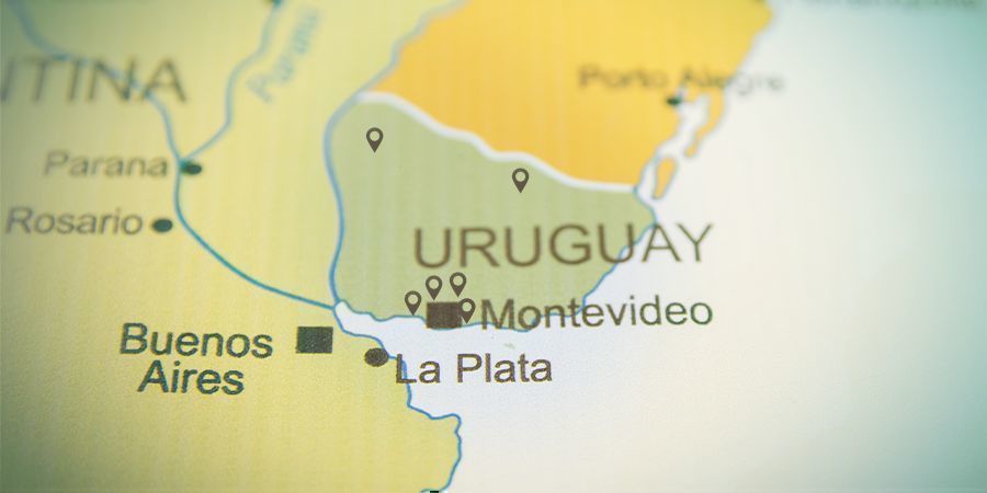 Weniger Als 20 Zugelassene Apotheken In Uruguay Cannabis Zu Verkaufen