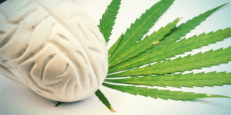 Das Cannabis-Erlebnis Verständlich Machen