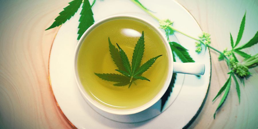 Cannabisstängeln: Tee