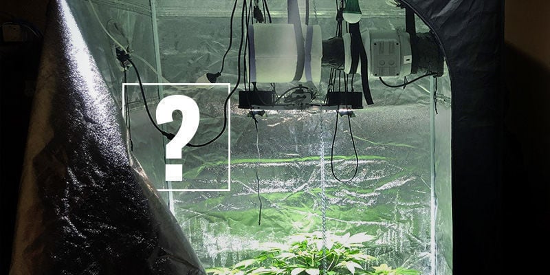 Braucht man einen Aktivkohlefilter, um Cannabis anzubauen?