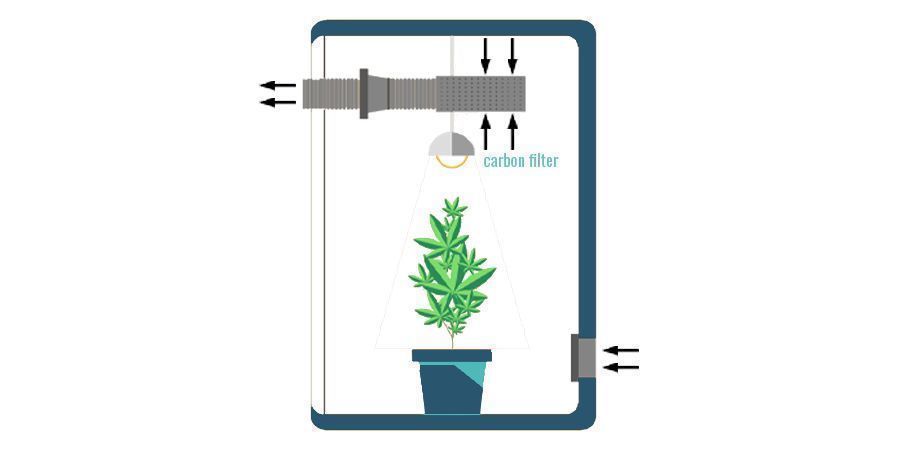 Wo man einen Aktivkohlefilter im Grow Room positionieren sollte