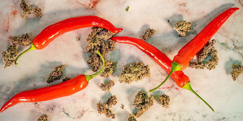 Haben Cannabispflanzen und Chilis etwas gemeinsam?