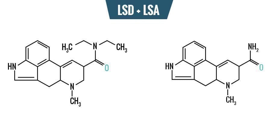 LSD im Vergleich zu LSA – Der Unterschied