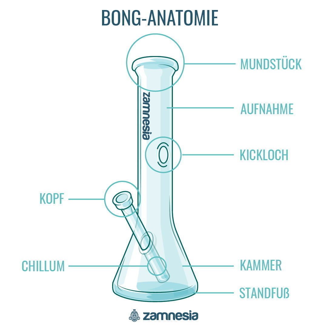 Bong-Anatomie