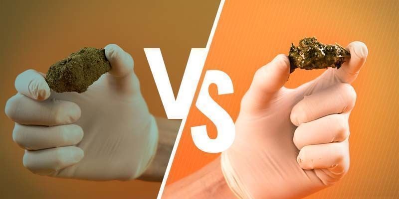 Moon Rocks Vs. Cannabis Caviar