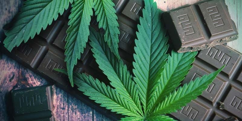 Die Grundlagen von Cannabis-Edibles