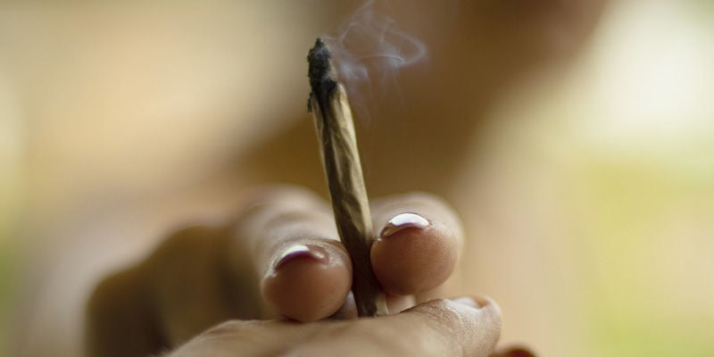 Abschließende Gedanken Zum Entourage-effekt – Das Größte Geheimnis Der Cannabispflanze