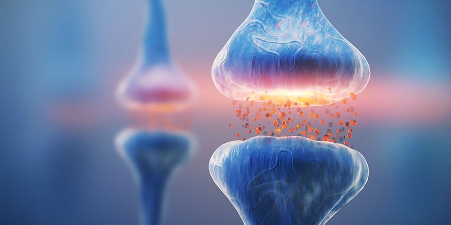 WAS ES MIT DEM ENDOCANNABINOID-SYSTEM AUF SICH HAT