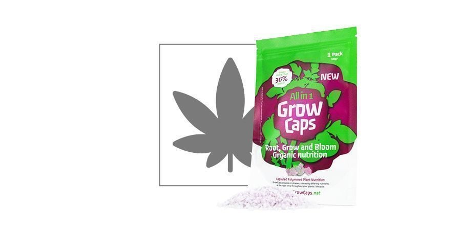 Grow Caps (All-in-One Nährstoffe Cannabis)