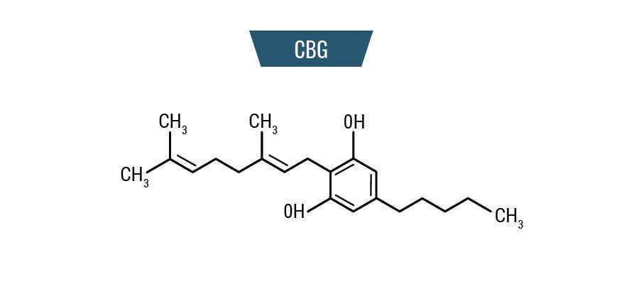 Molekül CBG