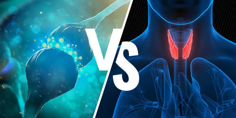 Endocannabinoid-System Vs. Hormonsystem