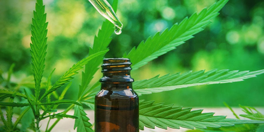 CBD Fix Auto: Zur Freude Von Medizinischen Anbauern