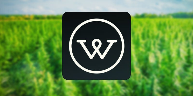 Wikileaf Marijuana Finder