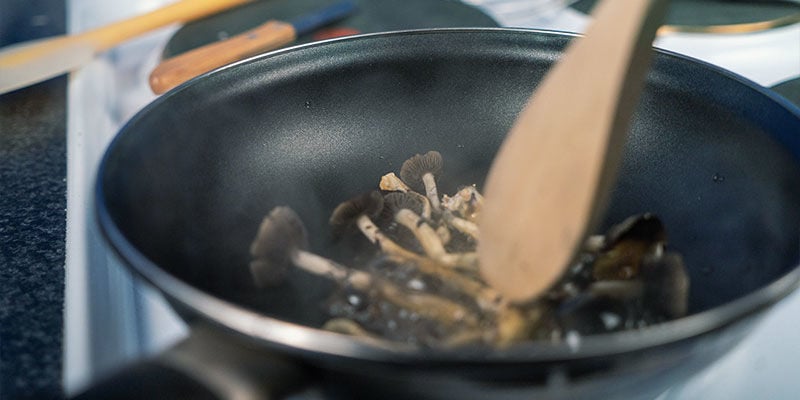 Wie werden Magic Mushrooms durch Kochen beeinflusst?