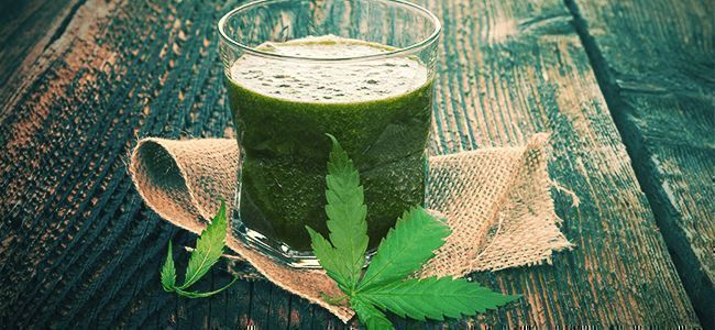 Cannabis Leaf Superfood Smoothie Recipe