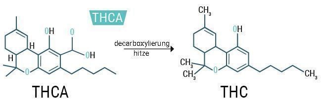 THCA%20 %20THC_DE