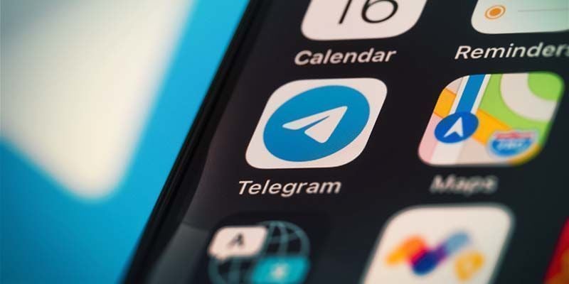 Warum Du Zamnesia Auf Telegram Folgen Solltest