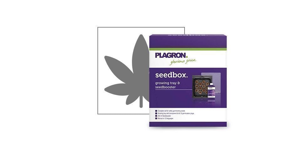 Plagron Seedbox Keim-Set