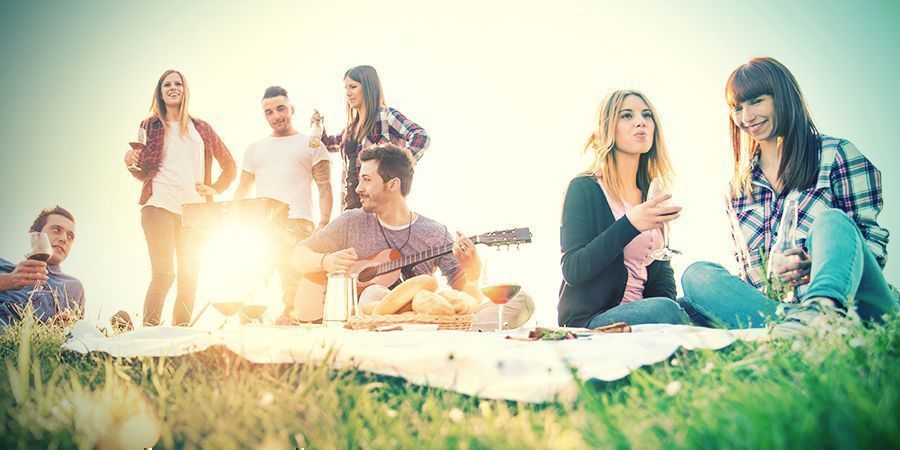 Macht Ein Picknick Im Park