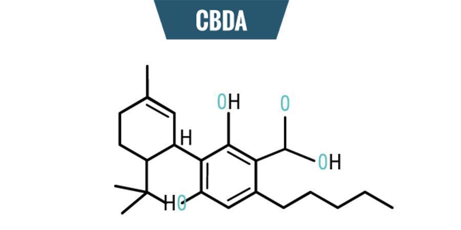 Chemie von CBDA