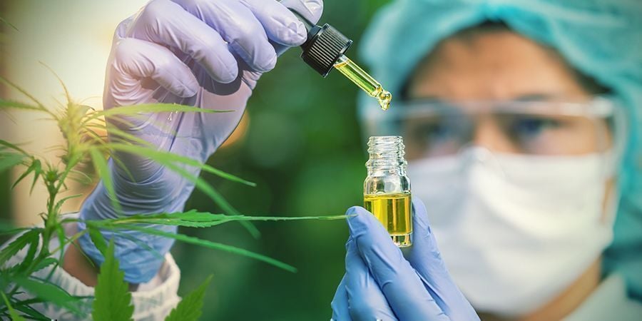 CBD Bindet An Cannabinoid-rezeptoren