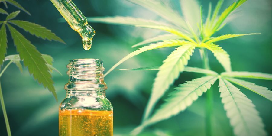 CBD Ist Die Einzige Therapeutische Verbindung In Hanf/cannabis