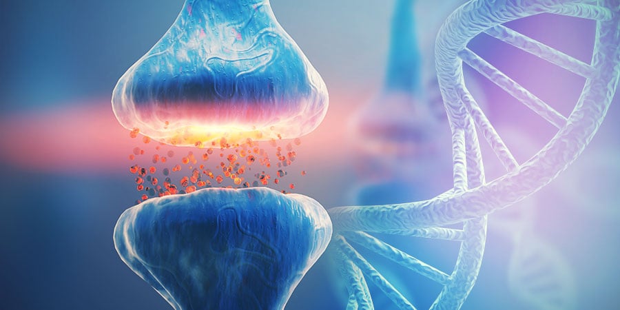 DNA UND DAS ENDOCANNABINOID-SYSTEM