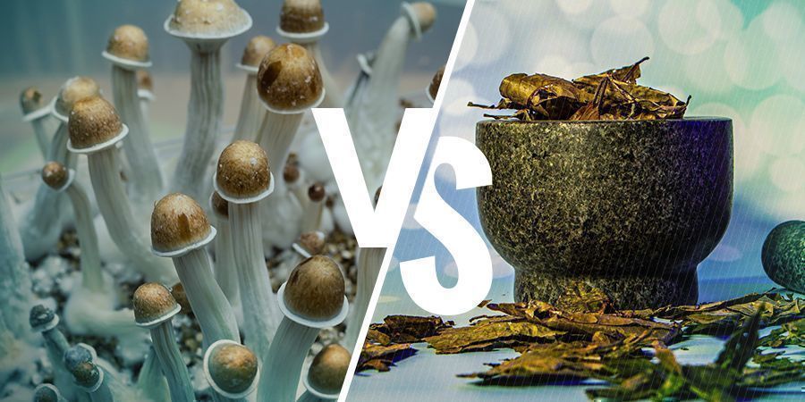 Psilocybin Vs. Dmt: Ähnlichkeiten Und Unterschiede