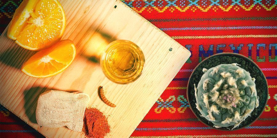 Mezcal Und Meskalin Sind Miteinander Verwandt