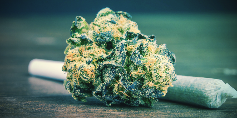 Das Heutige Cannabis Hat Eine Extrem Starke Wirkung