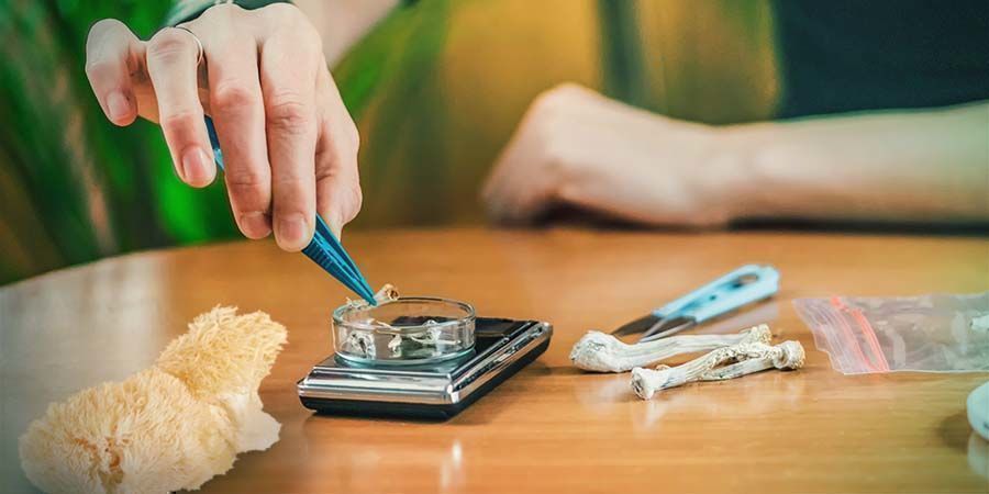Die Rezeptur – Zusammensetzung Und Mengen