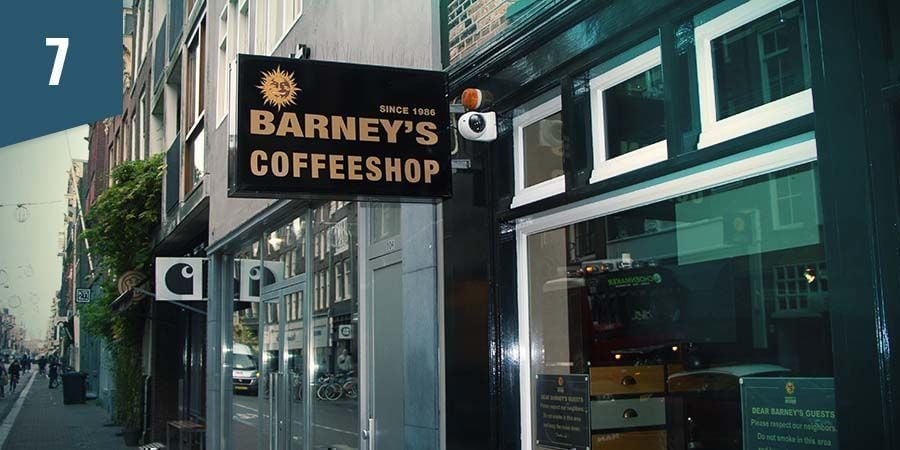 Barney's Coffeeshop Amsterdam - Besten Indica-Blüten