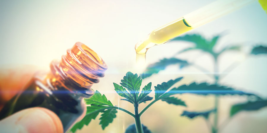 Was Ist CBD-Cannabis?