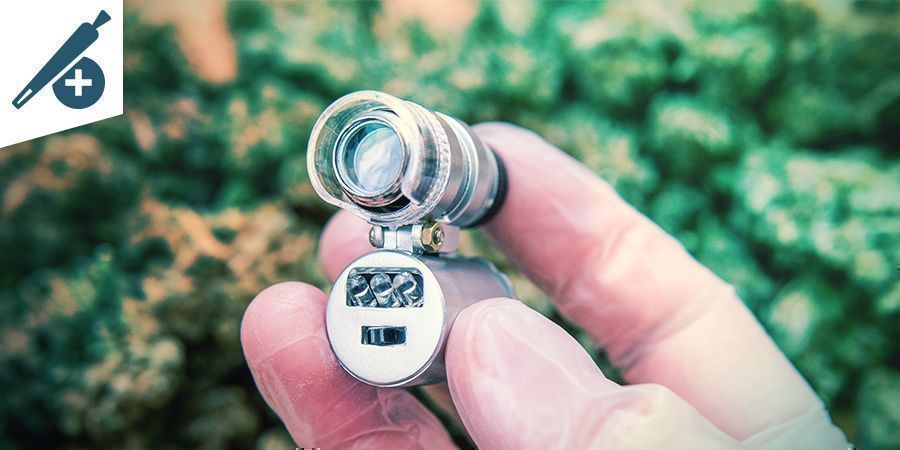 DIE NUTZEN EINES MIKROSKOPS FÜR CANNABIS RAUCHER