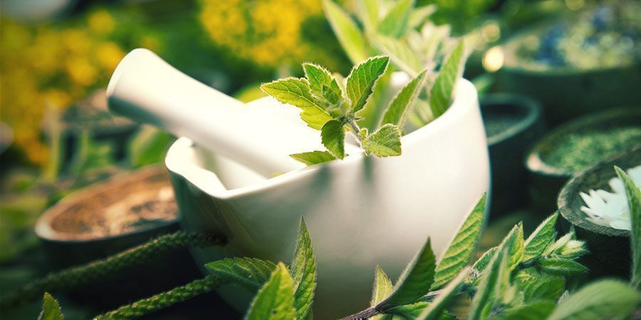 Fermentierter Pflanzensaft (FPJ) Dünger Cannabis