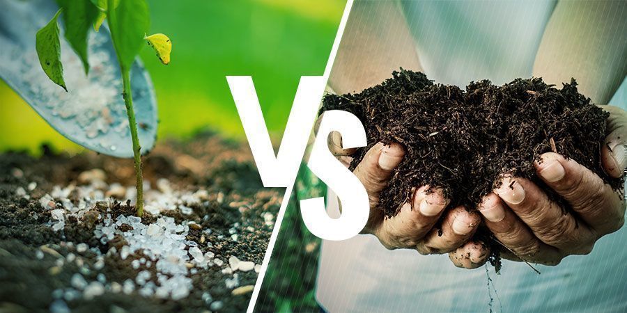 GEBRAUCHSFERTIGE VS. HAUSGEMACHTE DÜNGER
