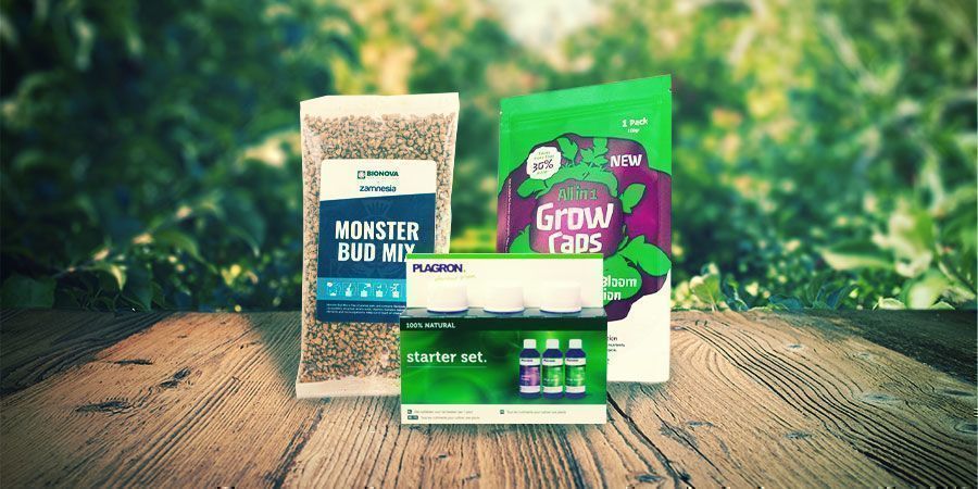 DIE BESTEN GEBRAUCHSFERTIGEN DÜNGER FÜR CANNABIS