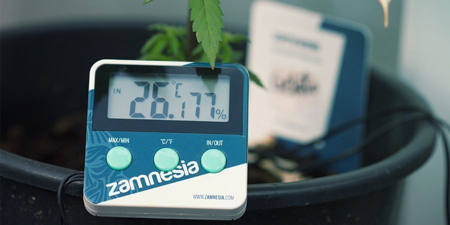 Thermometer/Hygrometer für Cannabis