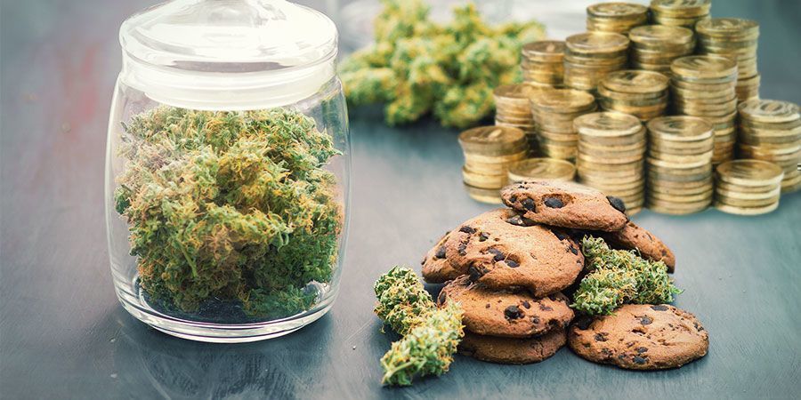 Zu Viel Geld Nur Für Cannabis Ausgeben