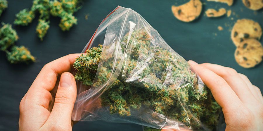 Zu Viel Cannabis Verwenden