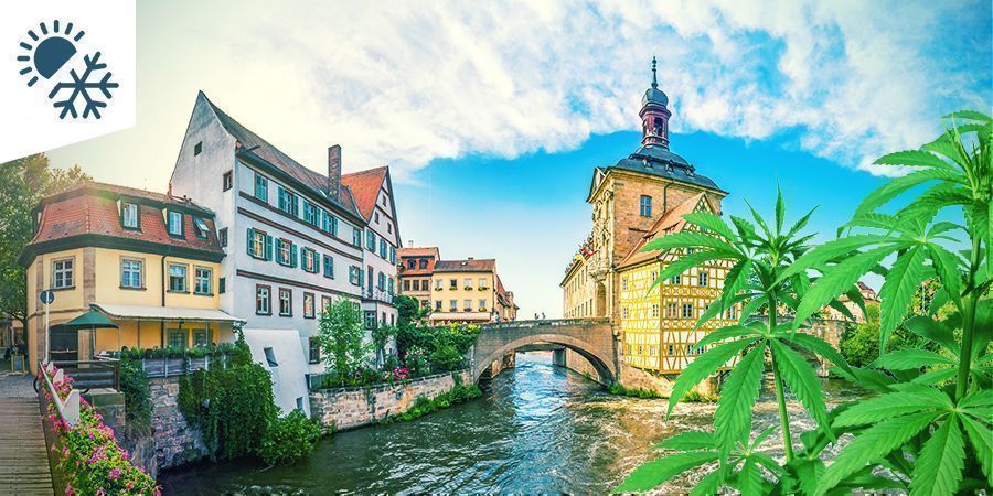 Der Cannabisanbau In Kontinentalem Klima