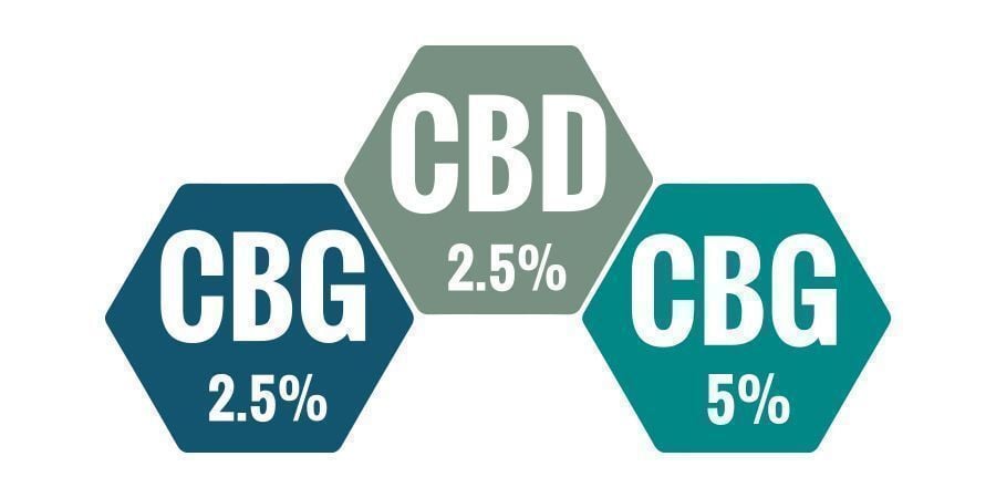 Welche Konzentration Von CBG Im Öl Ist Am Besten?