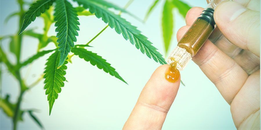 Die Nutzen von Cannabiswurzeln