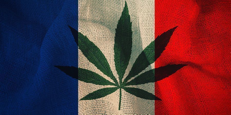 Frankreich und Cannabis: Der Plan des Ausschusses