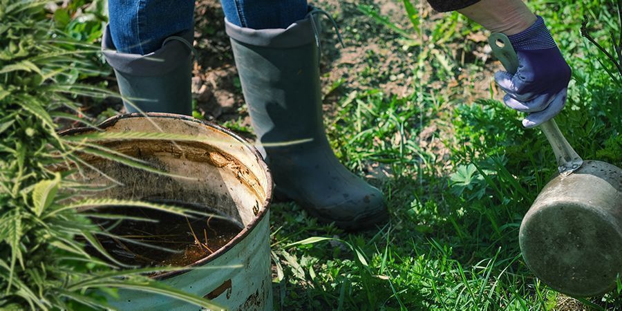 WIE DU SELBST GEMACHTEN KOMPOST FÜR DEINEN CANNABISANBAU VERWENDEST