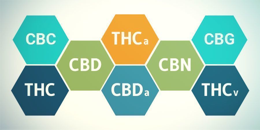 Verbindungen In Cannabis
